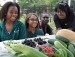 Camp FRESH