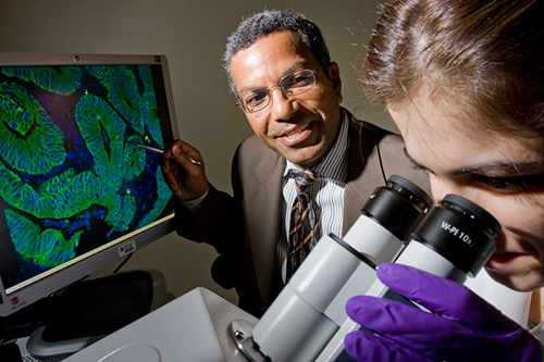 cancer researchers
