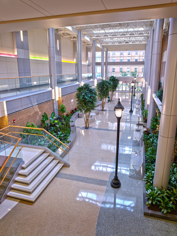 Sunlight streams into the new atrium at Wilmington Hospital. The walkway is a thoroughfare to a variety of hospital and outpatient specialty services, and it also leads outside to the Junior Board Healing Garden.
