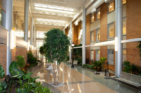 The atrium at Wilmington Hospital was designed with a healing aesthetic that includes lush gardens and a waterfall.