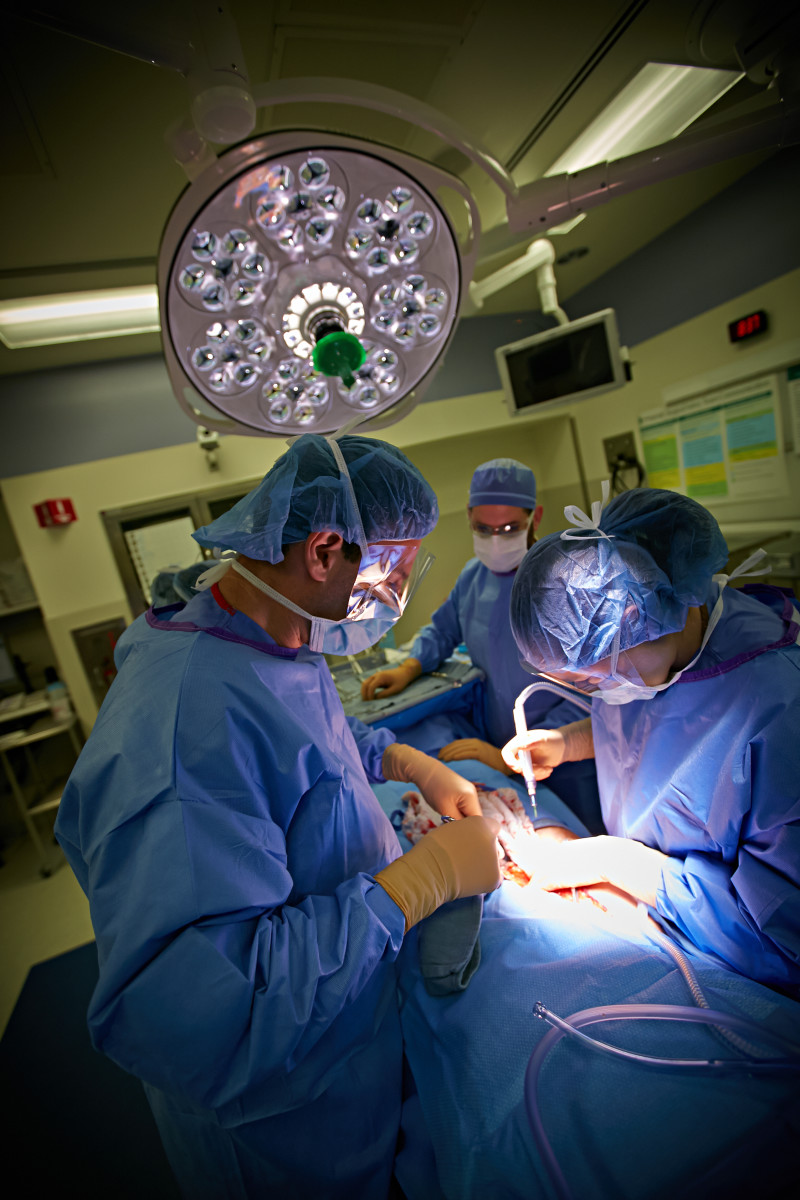 The Surgical Services clinical pathway calls for engaging the care team earlier in each patient's case, improving coordination of care, and ultimately building new pathways for all surgical operations.