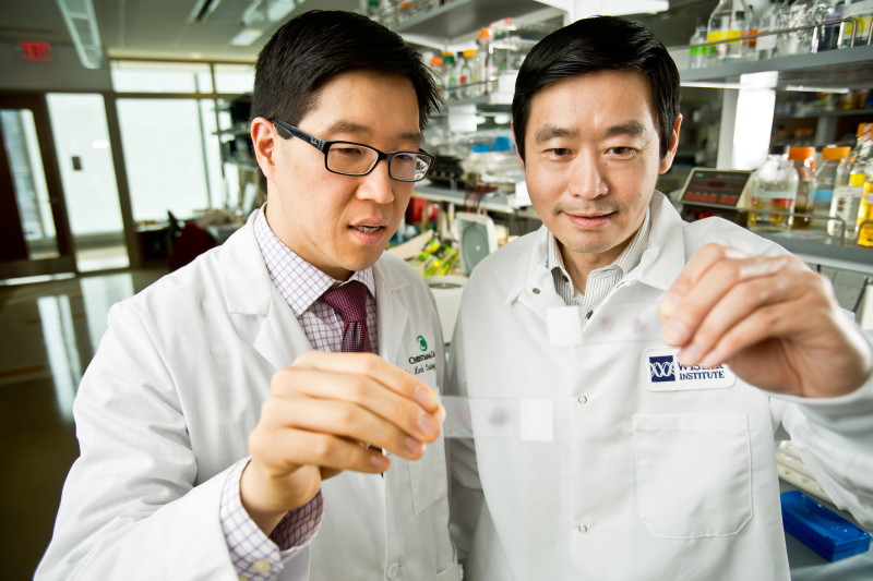 Brian Nam, M.D., from the Helen F. Graham Cancer Center & Research Institute (left) and Qihong Huang, M.D., Ph.D., from The Wistar Institute are partnering to develop a blood test for lung cancer.