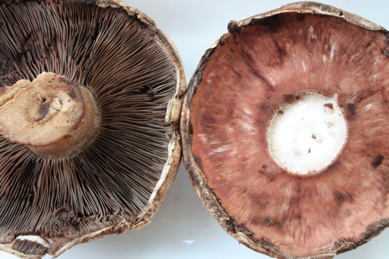 Portobello with gills and stem removed on right.