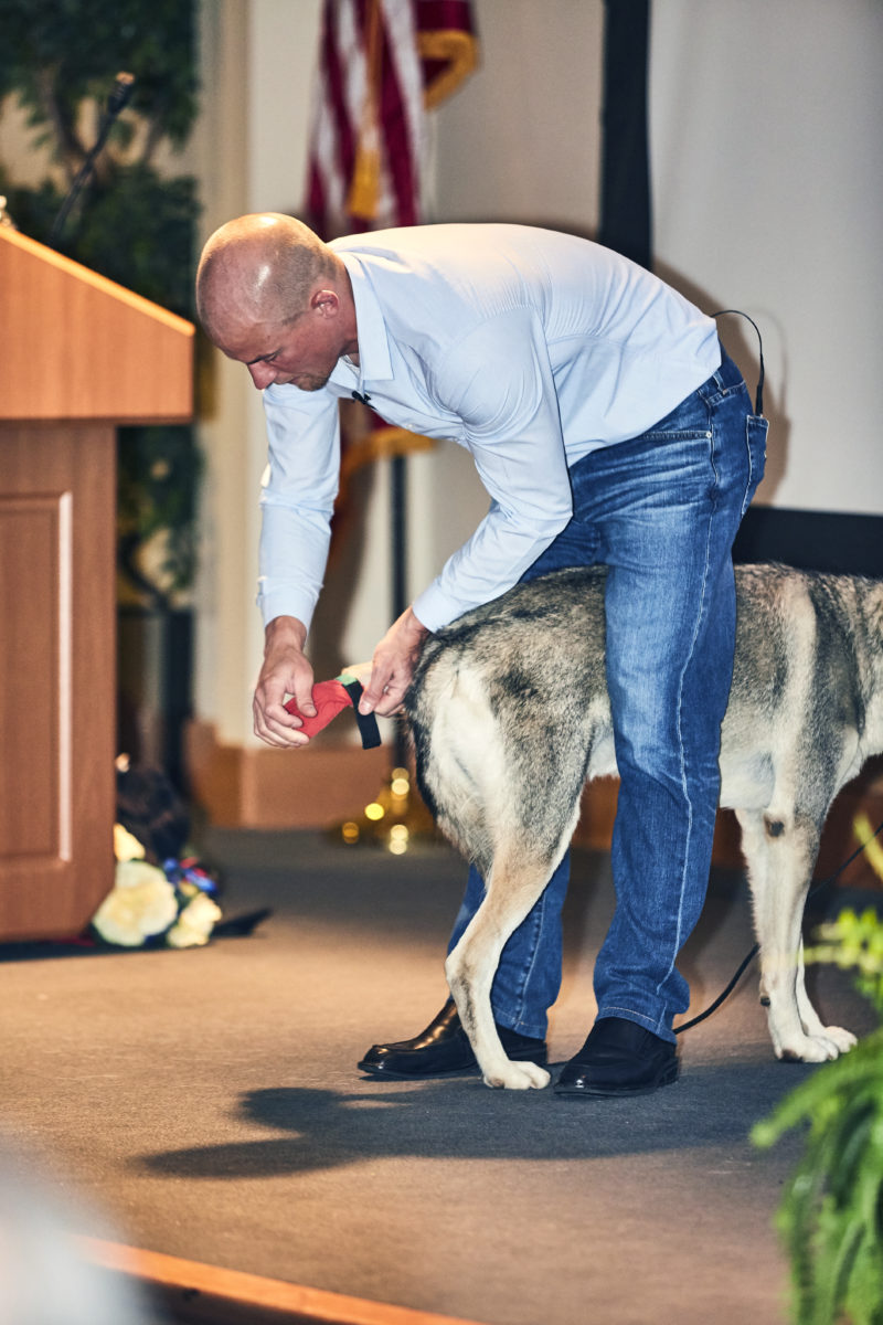 Champion Dog Musher Dallas Seavey — Profoundly Pointless