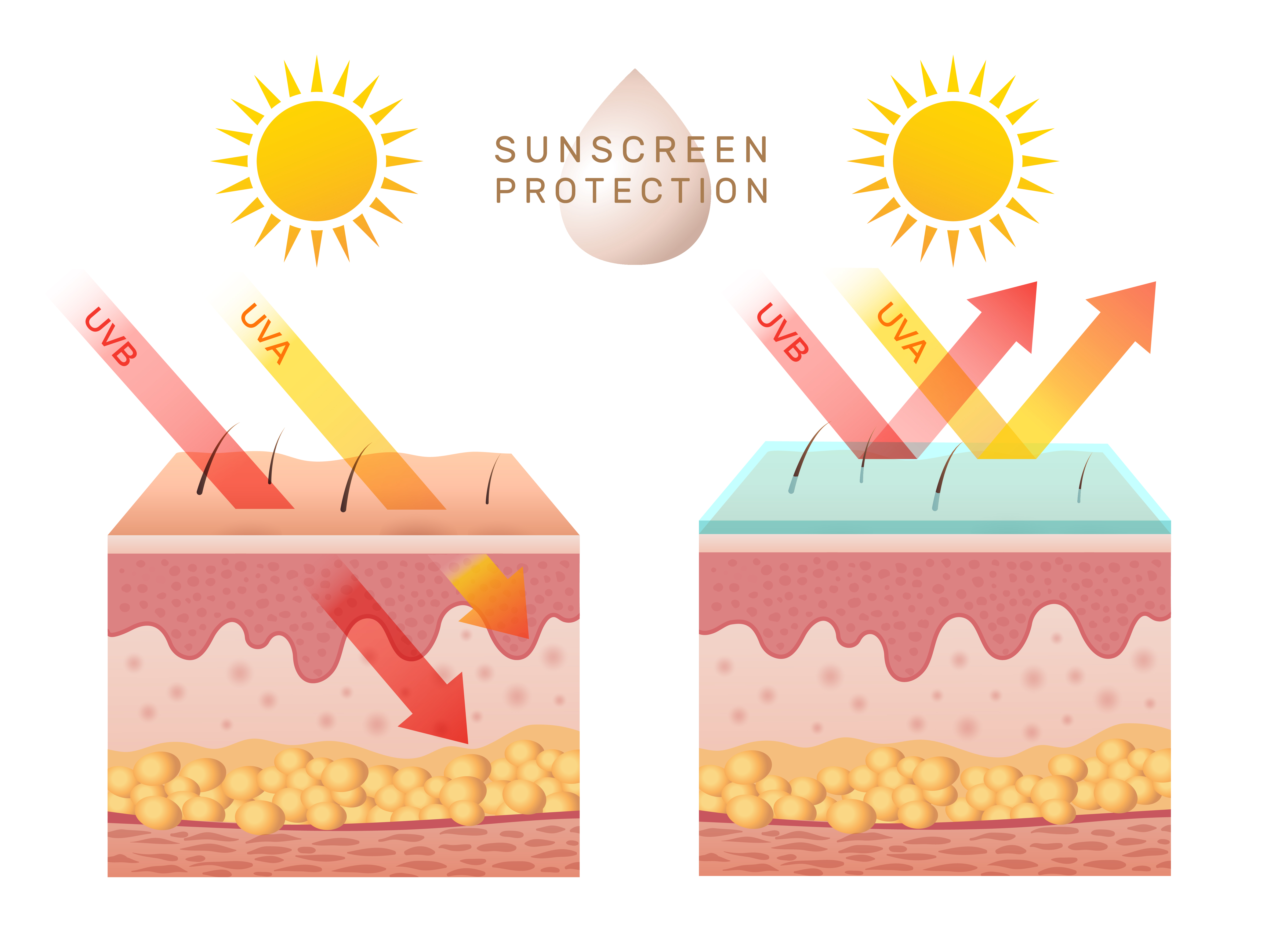 Does a Suntan Protect Against UV Rays?